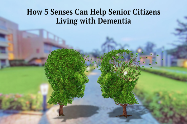 Help Senior Citizens